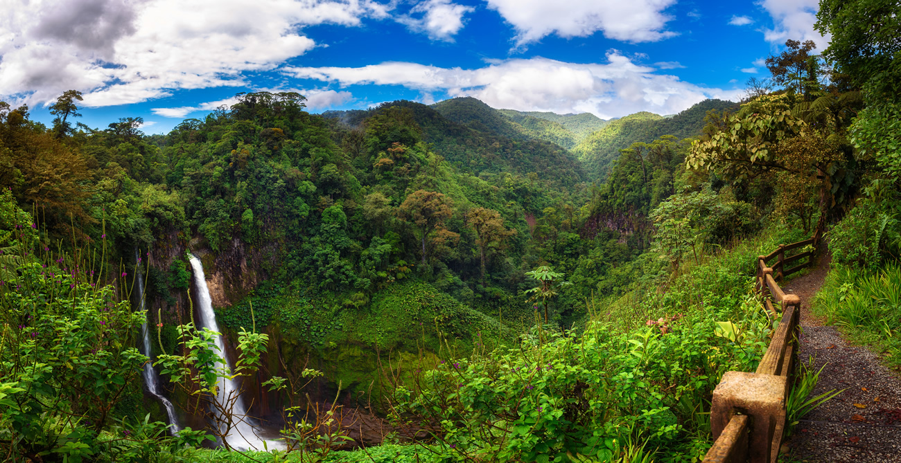 Costa Rica : des exportations multipliées par 1000 en 40 ans Costa Rica : des exportations multipliées par 1000 en 40 ans